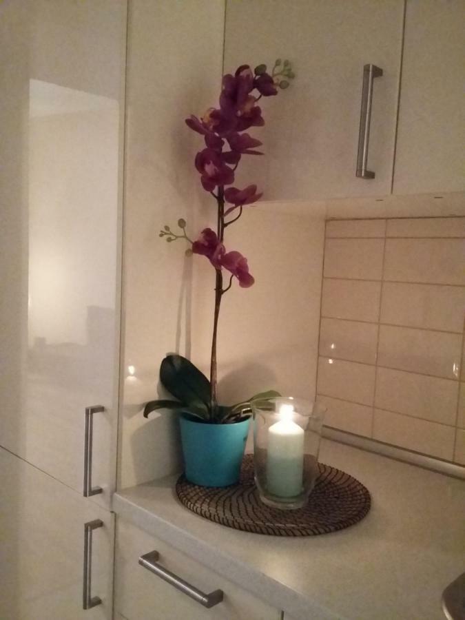 Angel Apartment Nr 4 Near To The Center ปราก ภายนอก รูปภาพ